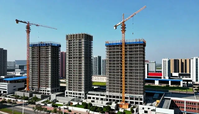 商务对接支持中的企业名录查询难点及解决方案